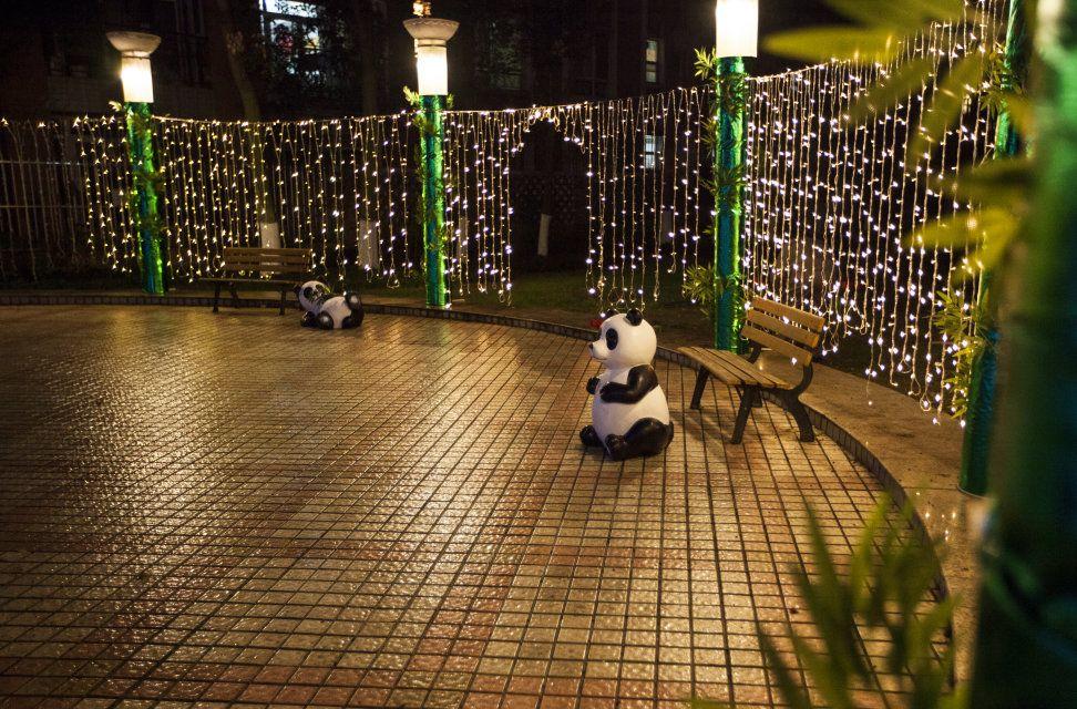 不同的城市，同样的金科幸福中国年