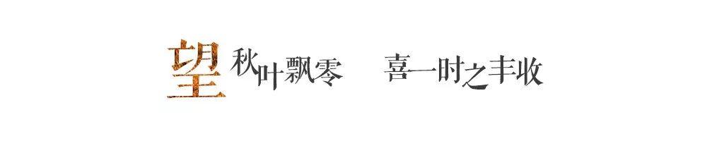 2019“友邻友爱·印象恒大节”圆满落幕