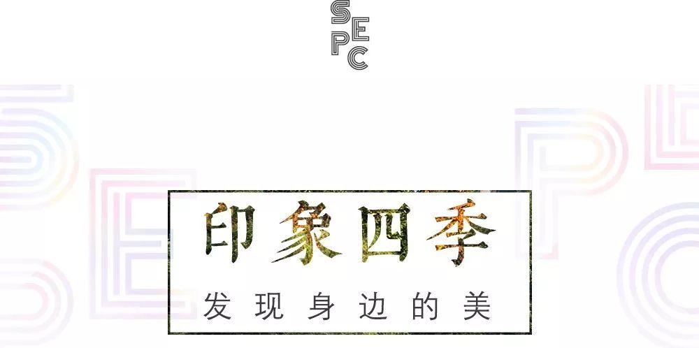 2019“友邻友爱·印象恒大节”圆满落幕