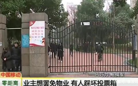 业主大会罢免物业，投票遭人暴力阻拦，物业经理：我保证没有参与