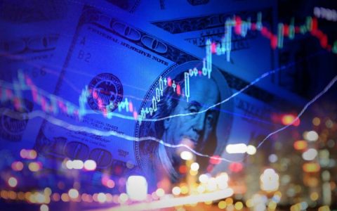 专题研究 | 加速扩张，雅生活“买买买”背后