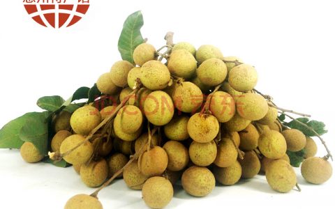 广东龙门黄壳石硖龙眼 新鲜水果  广东桂圆特产  顺丰包邮