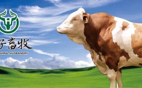 新疆牧场芙拉薇赫纯牛奶哪里好？