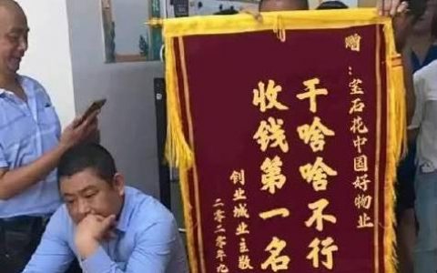 因业主总“闹事”想换物业 物业公司副总雇人“教训”对方