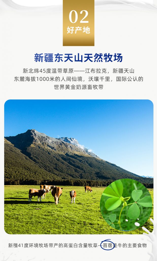 新疆牛奶芙拉薇赫纯牛奶华南广东深圳东莞广州供应商一件代社区团购合作