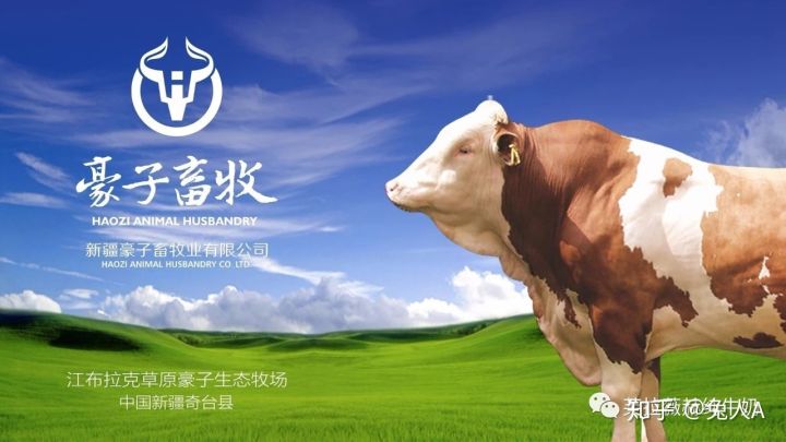 新疆牧场芙拉薇赫纯牛奶哪里好？