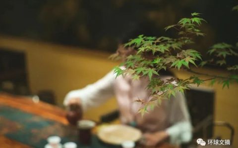 和守规矩的人在一起（深度好文）