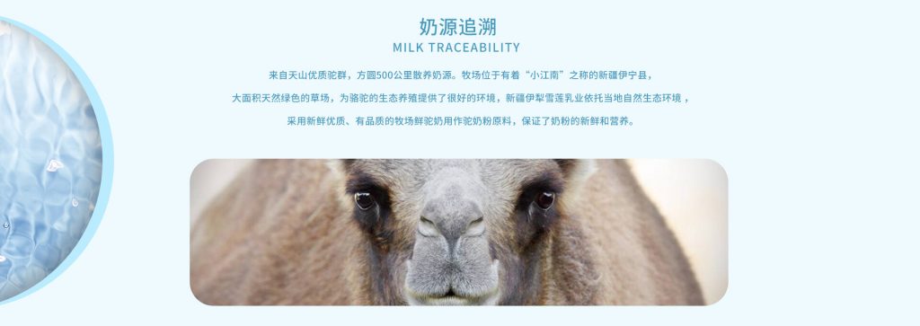 新疆伊犁依巴特骆驼奶粉华南广东深圳供应商一件代发社区团购合作