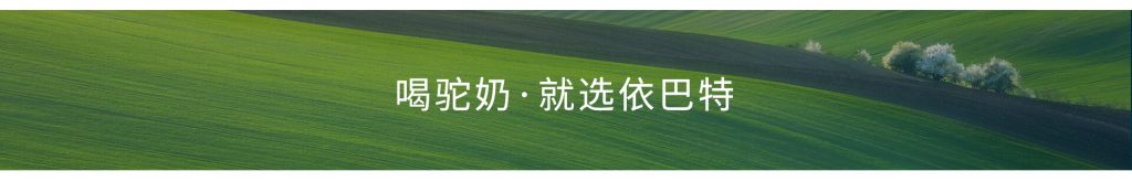 新疆伊犁依巴特骆驼奶粉华南广东深圳供应商一件代发社区团购合作