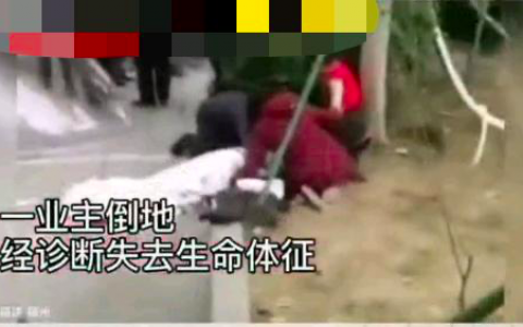 小区入驻新物业发生冲突致业主猝死，谁来买单？