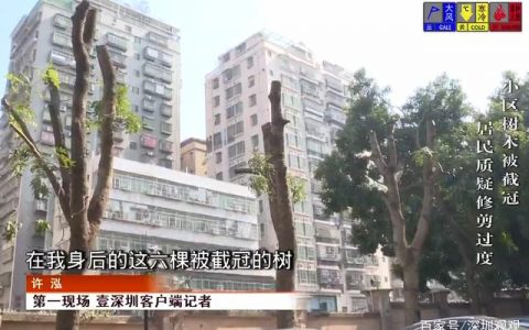 深圳一小区树木一下子成了“光秃秃”，居民不能接受，物业回应