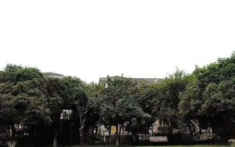 业主拖欠6年物业费 却说业委会应该给他57239元