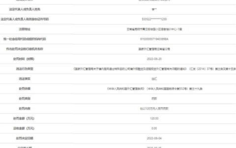云南俊发物业违法逃汇被罚120万元