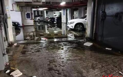 物业提前撤场，如何收拾烂摊子？深圳一小区尝试业主自治却面临新问题