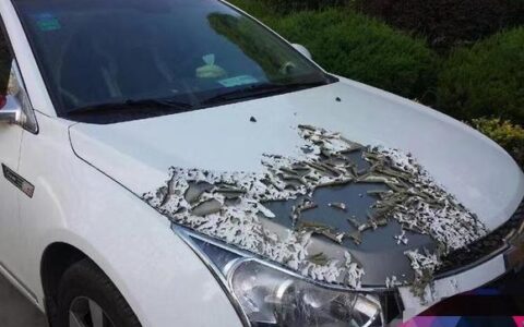 南京业主车停路边两次被泼硫酸，却找不到肇事人