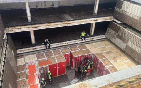 过年有口福了：4300余吨智利JJ车厘子“包船”抵沪，品质保证脆、甜、鲜