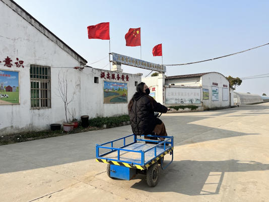 90后女农场主：拖拉机卡车都会开，忙到凌晨是日常，接替父亲不后悔