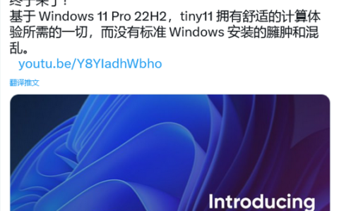 Win11精简版Tiny11发布,2GB内存即可轻松运行,附百度下载