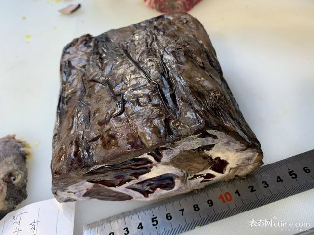 牛肉怎么判断熟了没（关于牛肉熟成）(17)