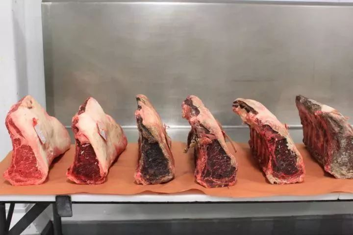 如何在家里用冰箱制作出干式熟成牛排