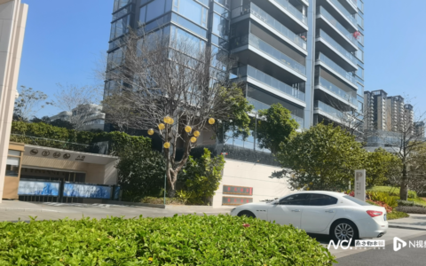 东莞一小区临时停车费120元/天，监管部门发声