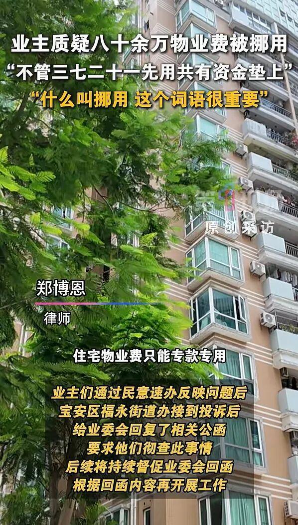 深圳一小区80余万共有资金疑被业委会主任挪用
