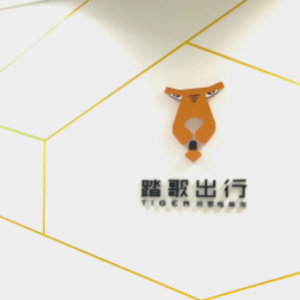 tiger的头像