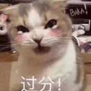 沅的头像